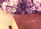 banner_10